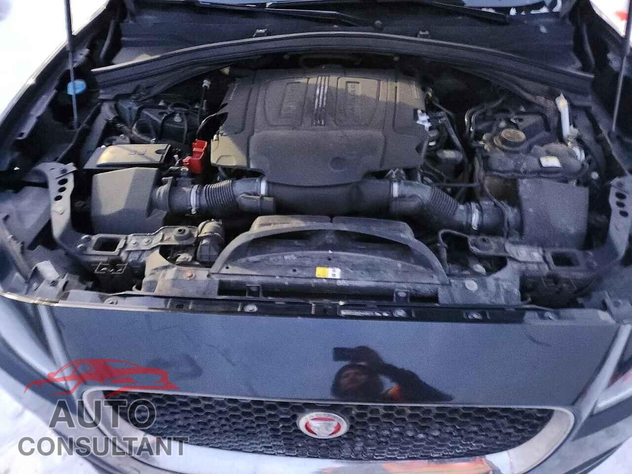 JAGUAR F-PACE 2017 - SADCJ2BV0HA495213