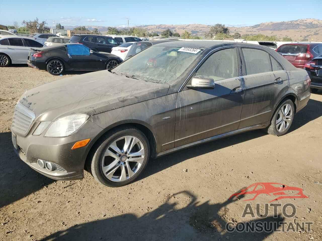 MERCEDES-BENZ E-CLASS 2011 - WDDHF2EBXBA443122
