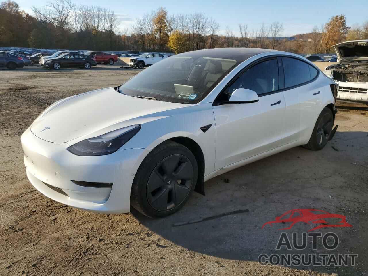 TESLA MODEL 3 2022 - 5YJ3E1EBXNF228577