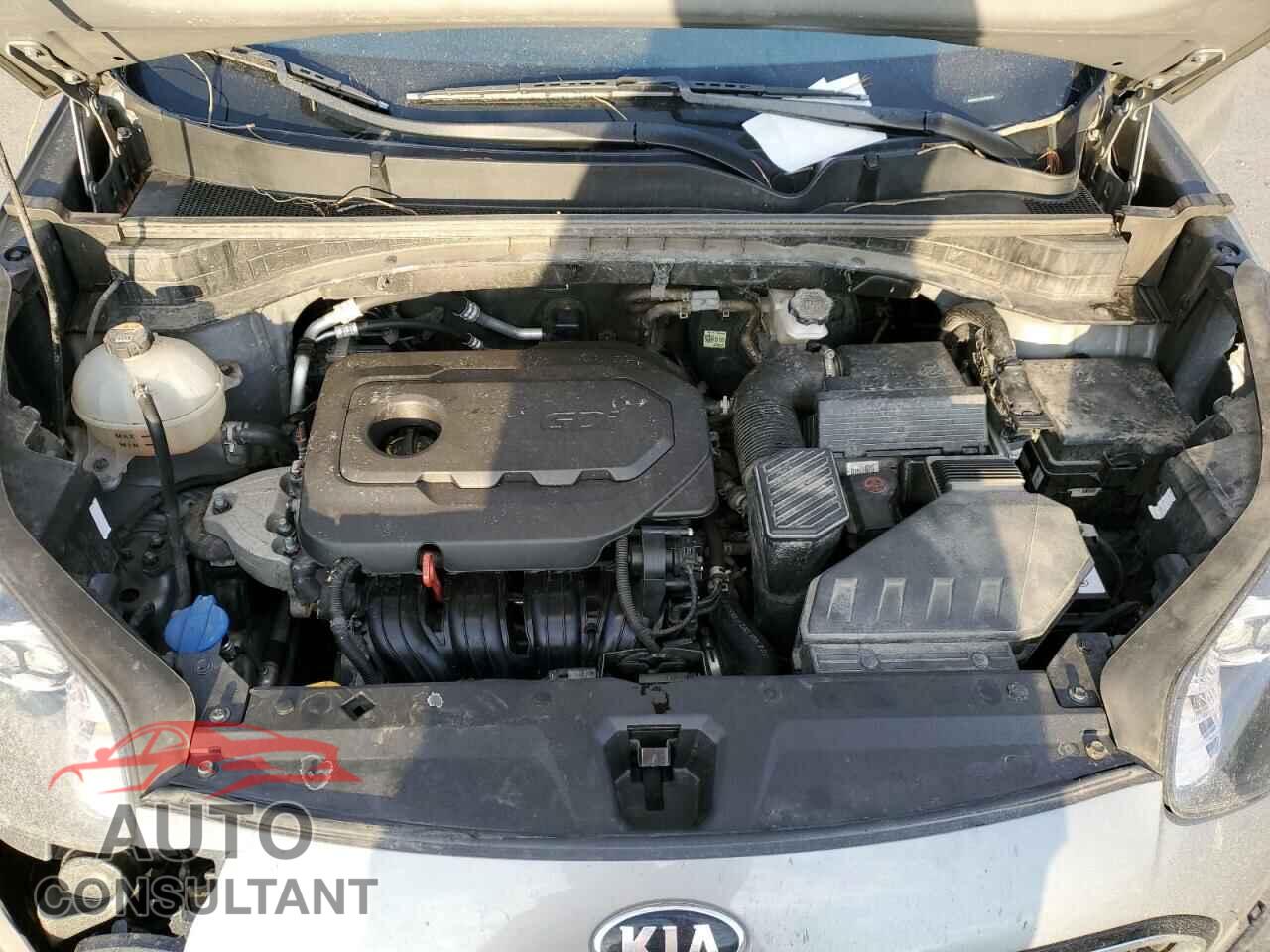 KIA SPORTAGE 2022 - KNDPMCAC8N7986387