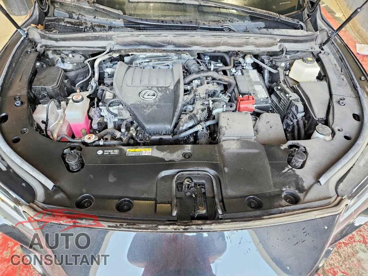 LEXUS RX 350 BAS 2024 - 2T2BAMCA5RC068665