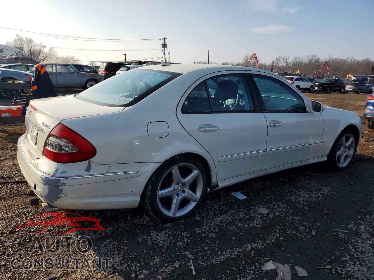 MERCEDES-BENZ E-CLASS 2009 - WDBUF87X89B390217