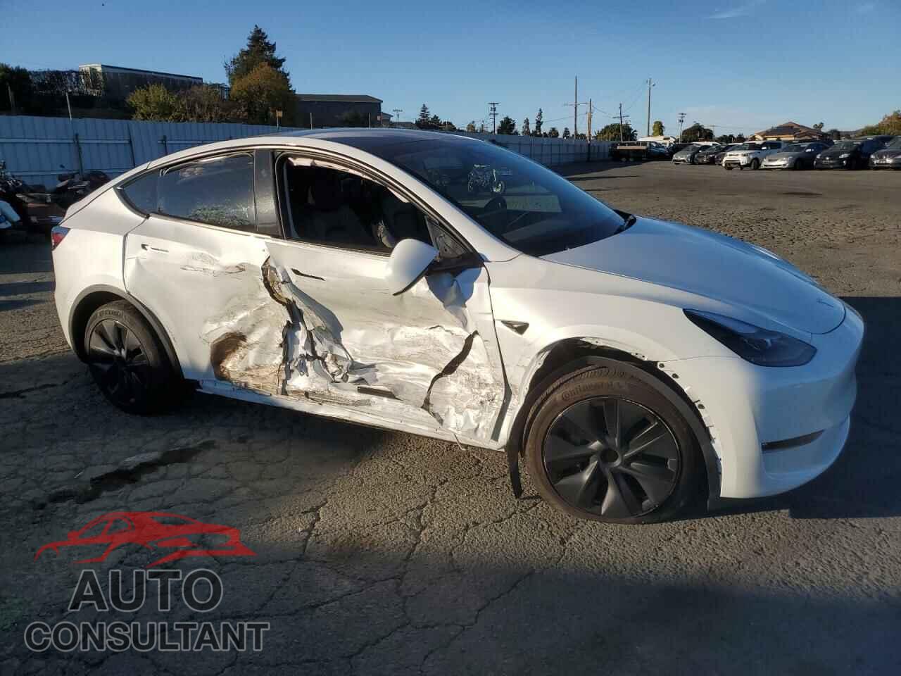 TESLA MODEL Y 2024 - 7SAYGAEE1RF103678