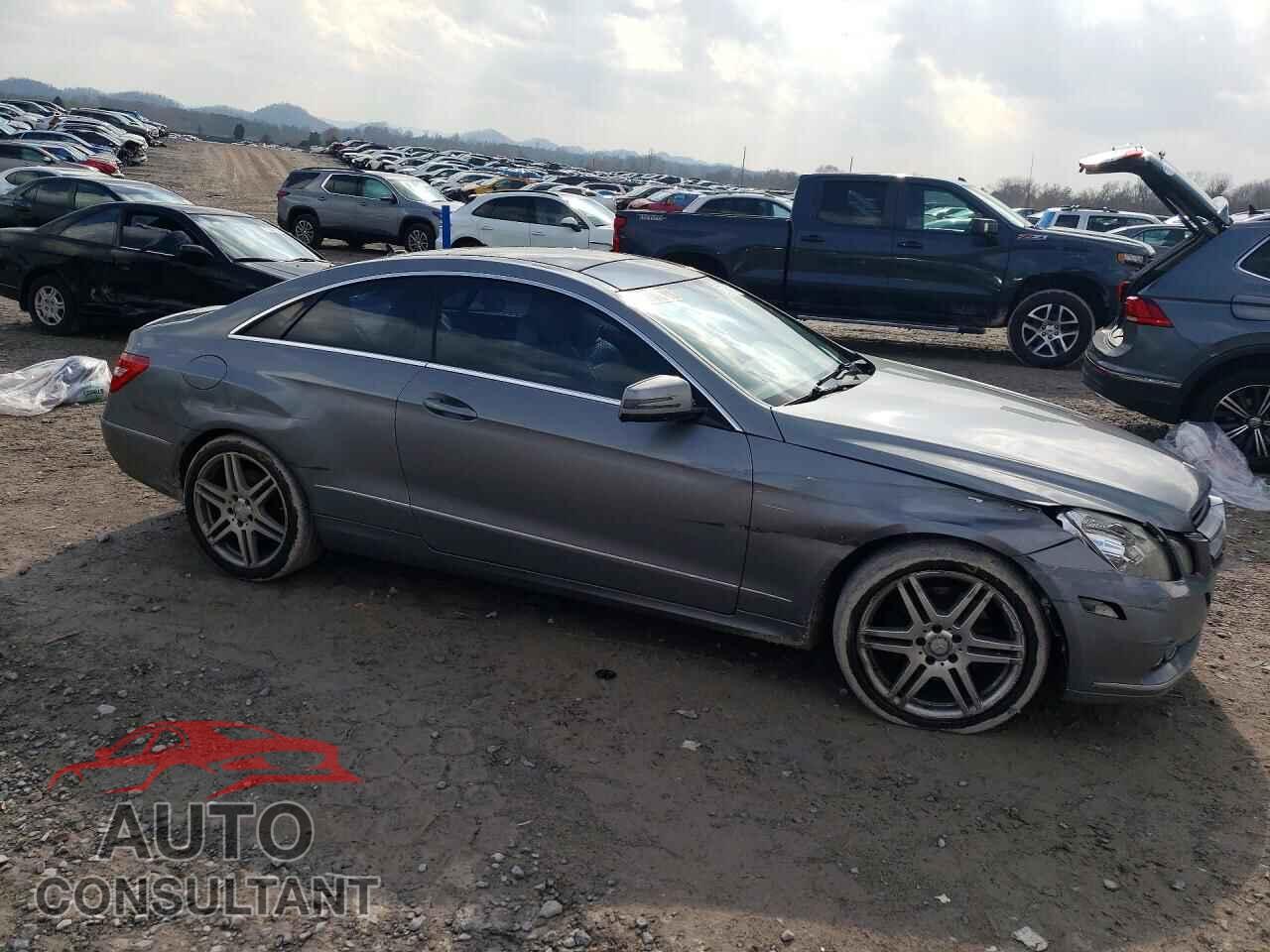 MERCEDES-BENZ E-CLASS 2010 - WDDKJ5GB5AF042744