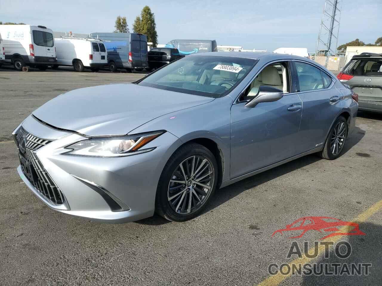 LEXUS ES300 2022 - 58ADA1C18NU017562