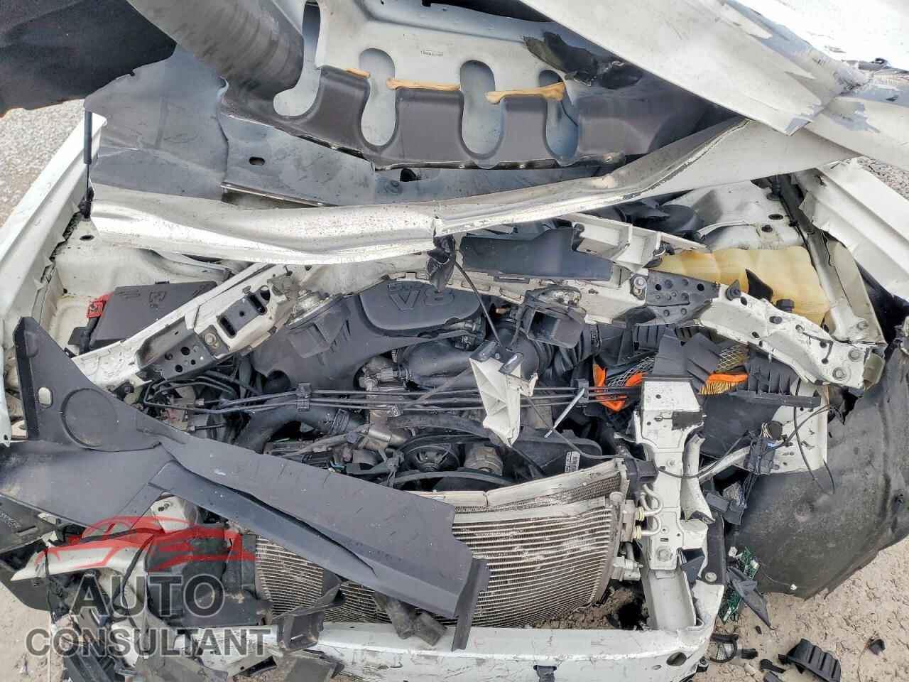 DODGE CHALLENGER 2019 - 2C3CDZBT6KH677067