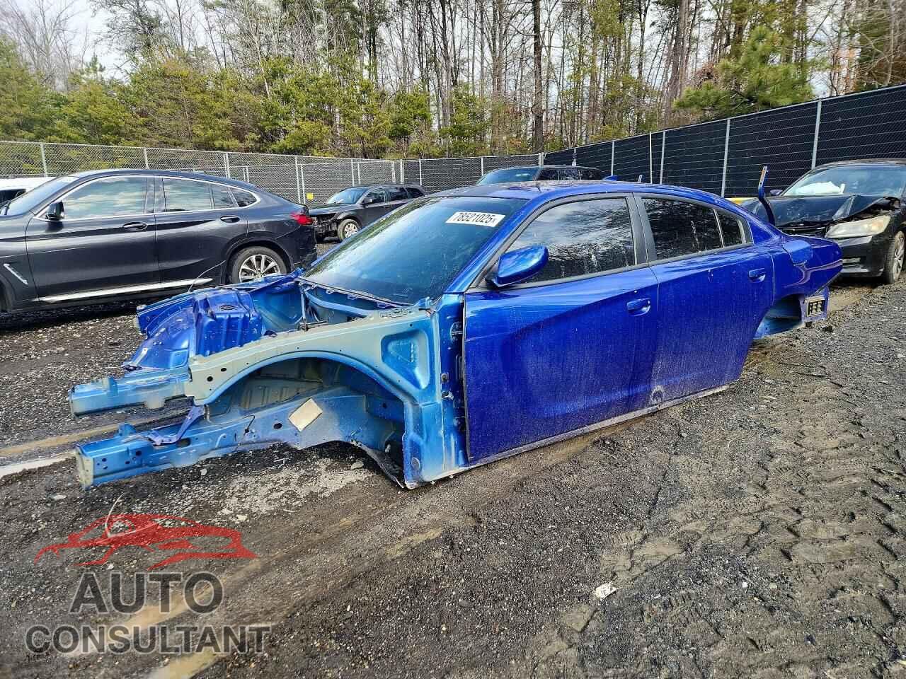 DODGE CHARGER 2019 - 2C3CDXGJ1KH539254