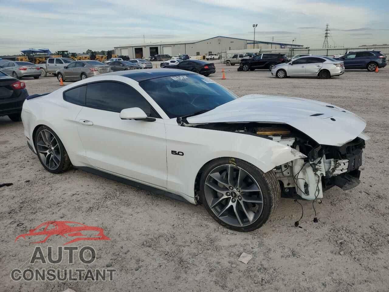 FORD MUSTANG 2019 - 1FA6P8CF9K5201167