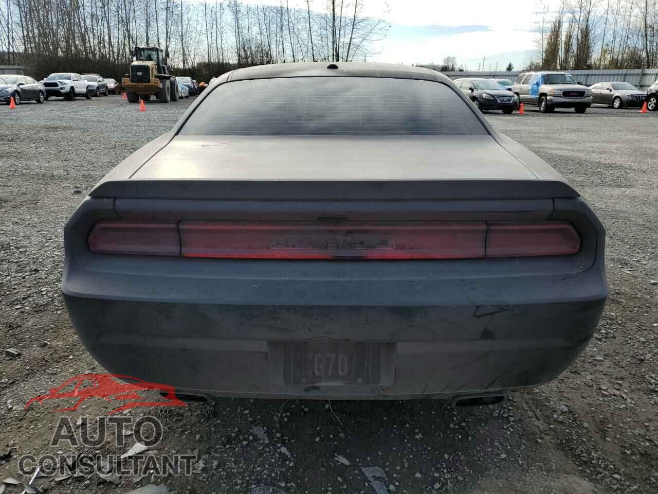 DODGE CHALLENGER 2012 - 2C3CDYBT6CH294189