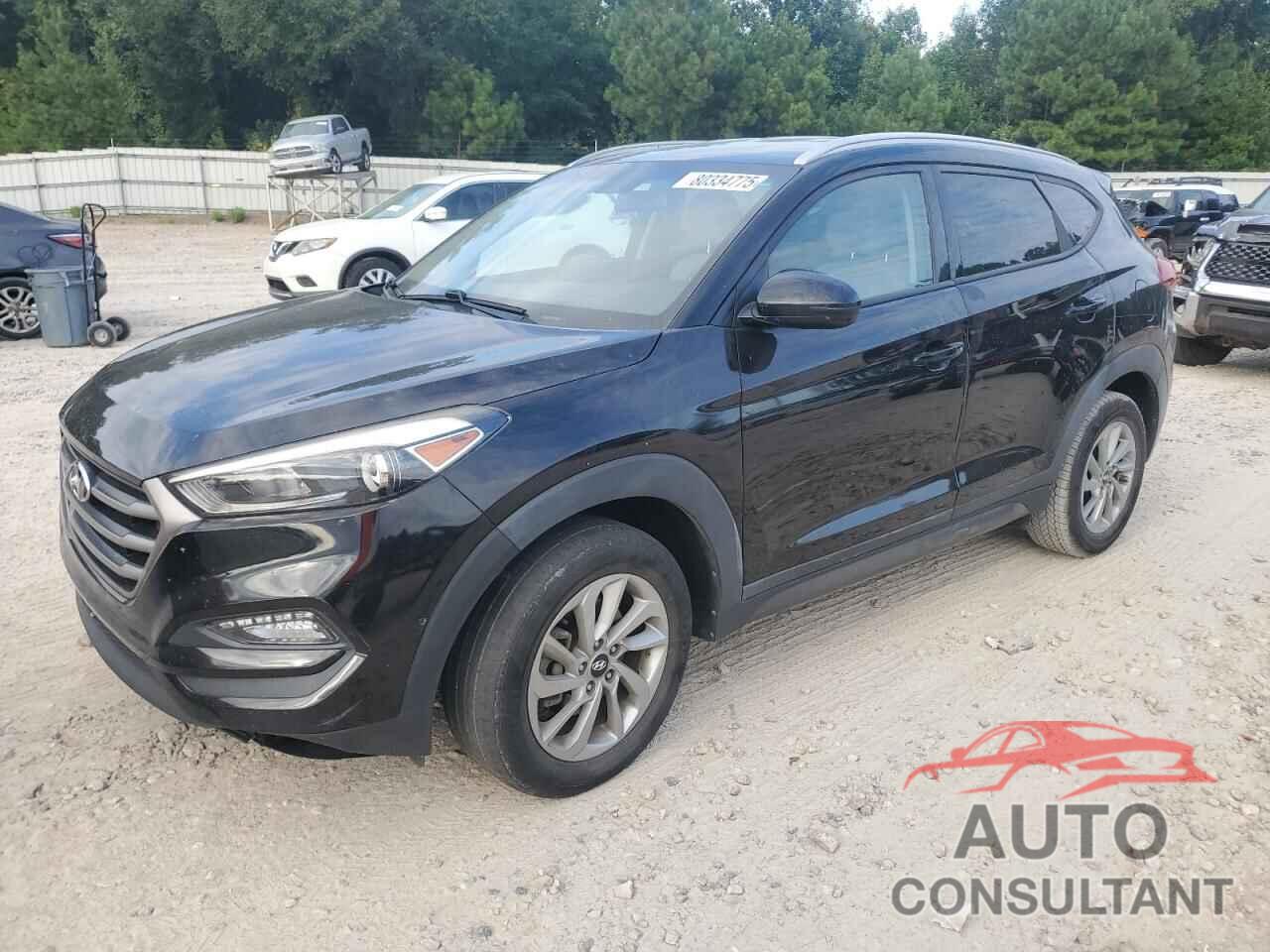 HYUNDAI TUCSON 2016 - KM8J33A43GU061632
