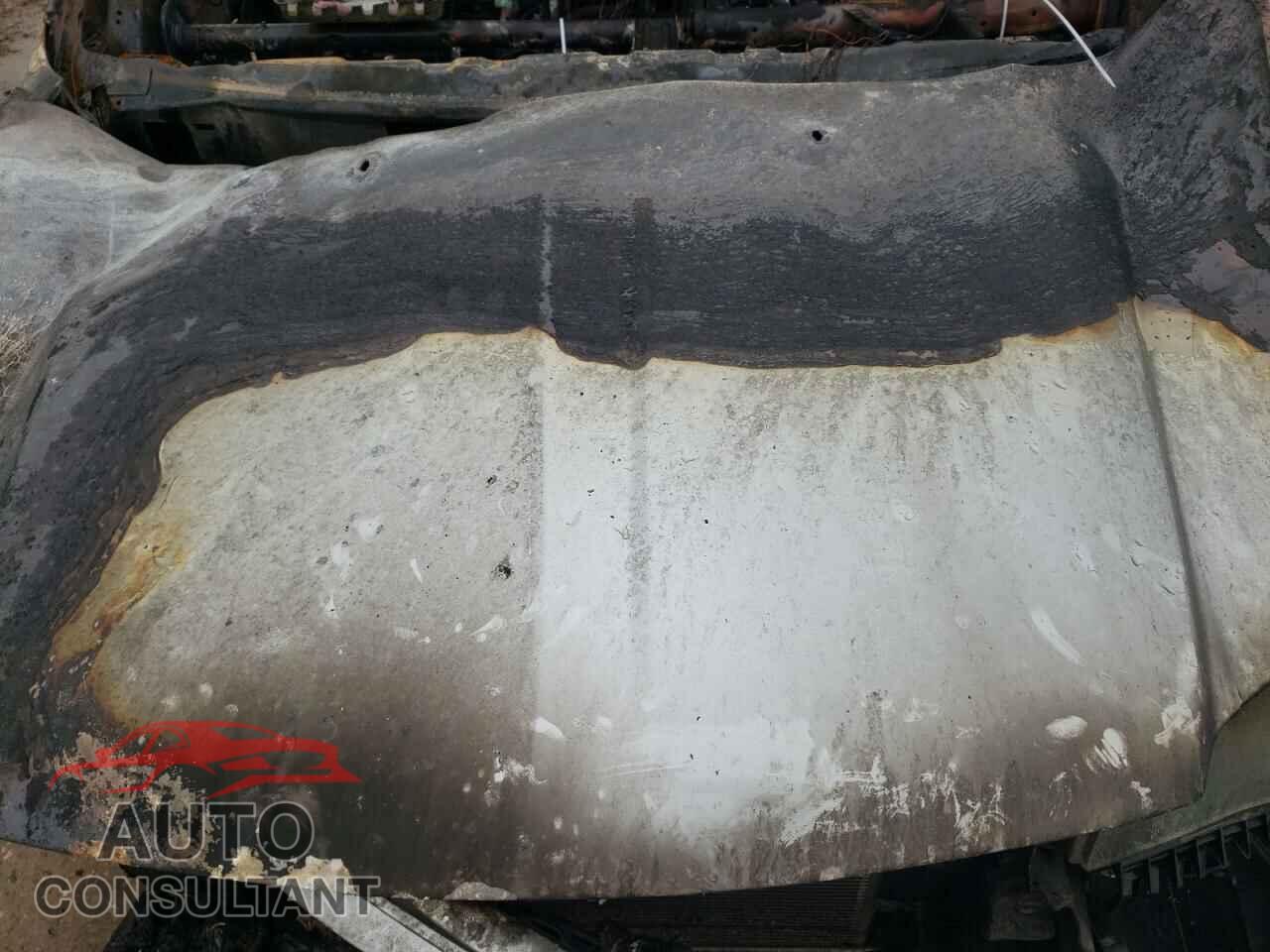 DODGE CARAVAN 2019 - 2C4RDGEG9KR595952