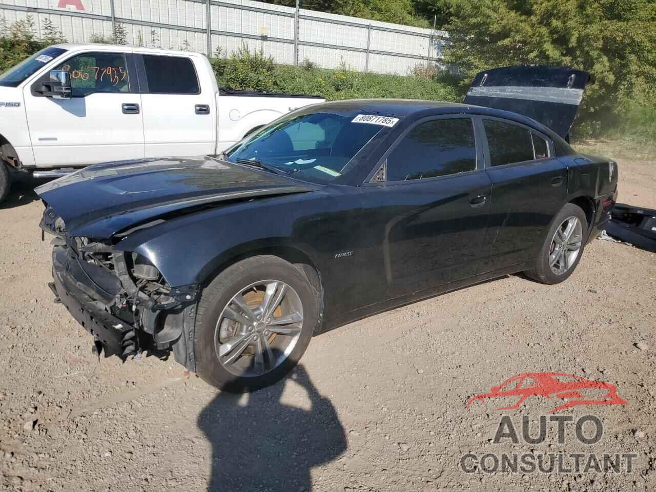 DODGE CHARGER 2014 - 2C3CDXDTXEH301428