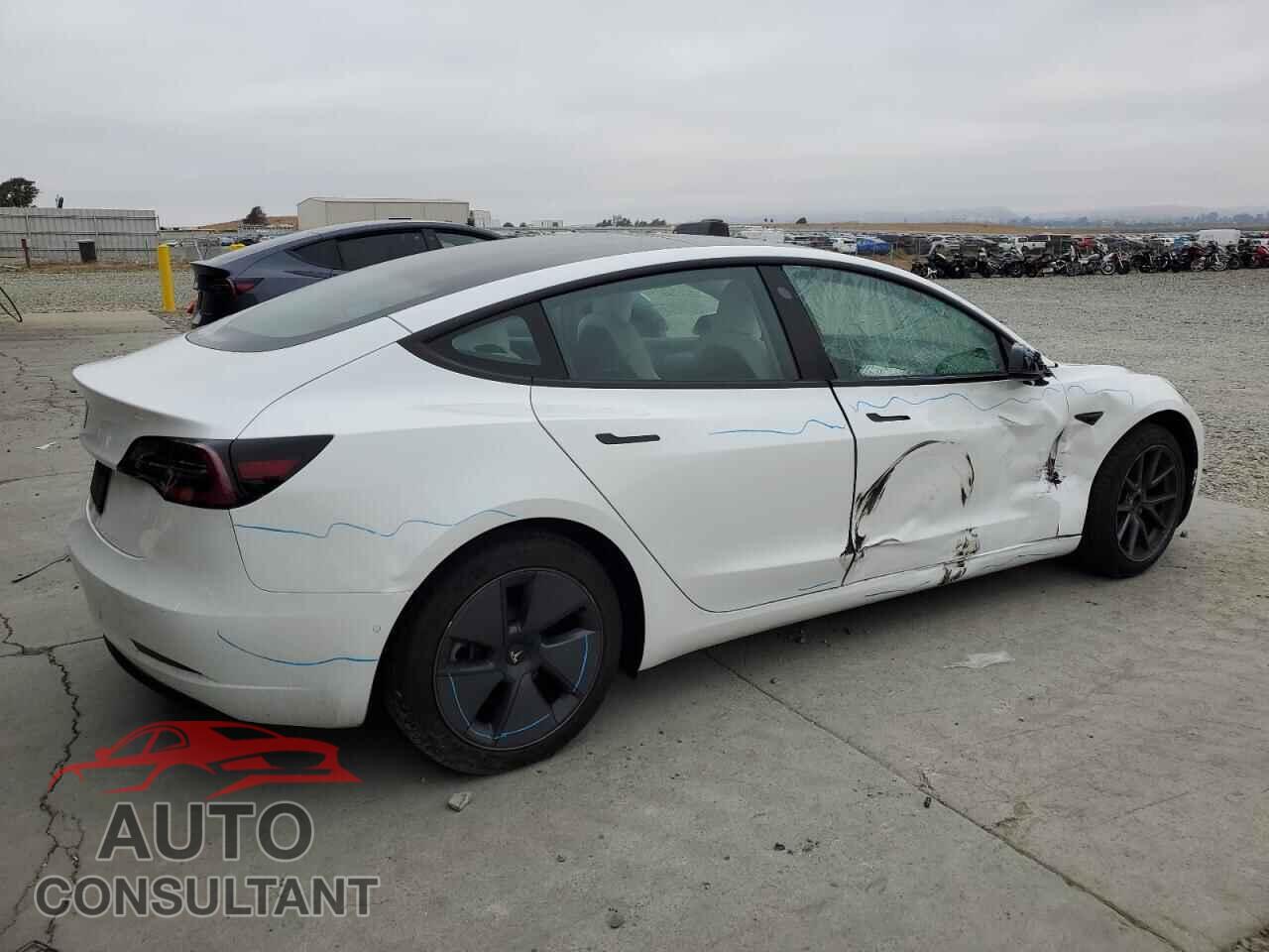 TESLA MODEL 3 2021 - 5YJ3E1EA1MF070295