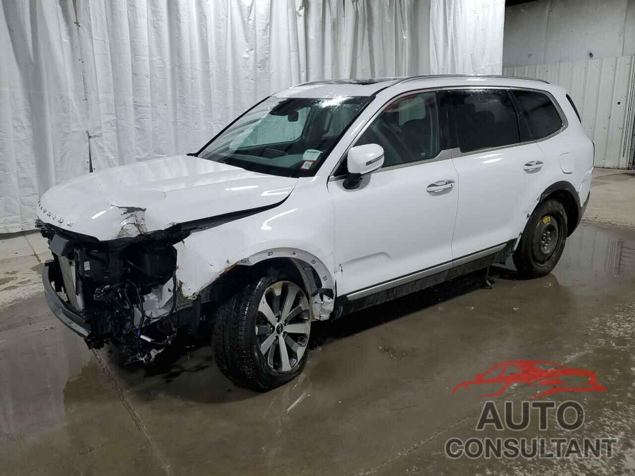 KIA TELLURIDE 2022 - 5XYP6DHC5NG196604