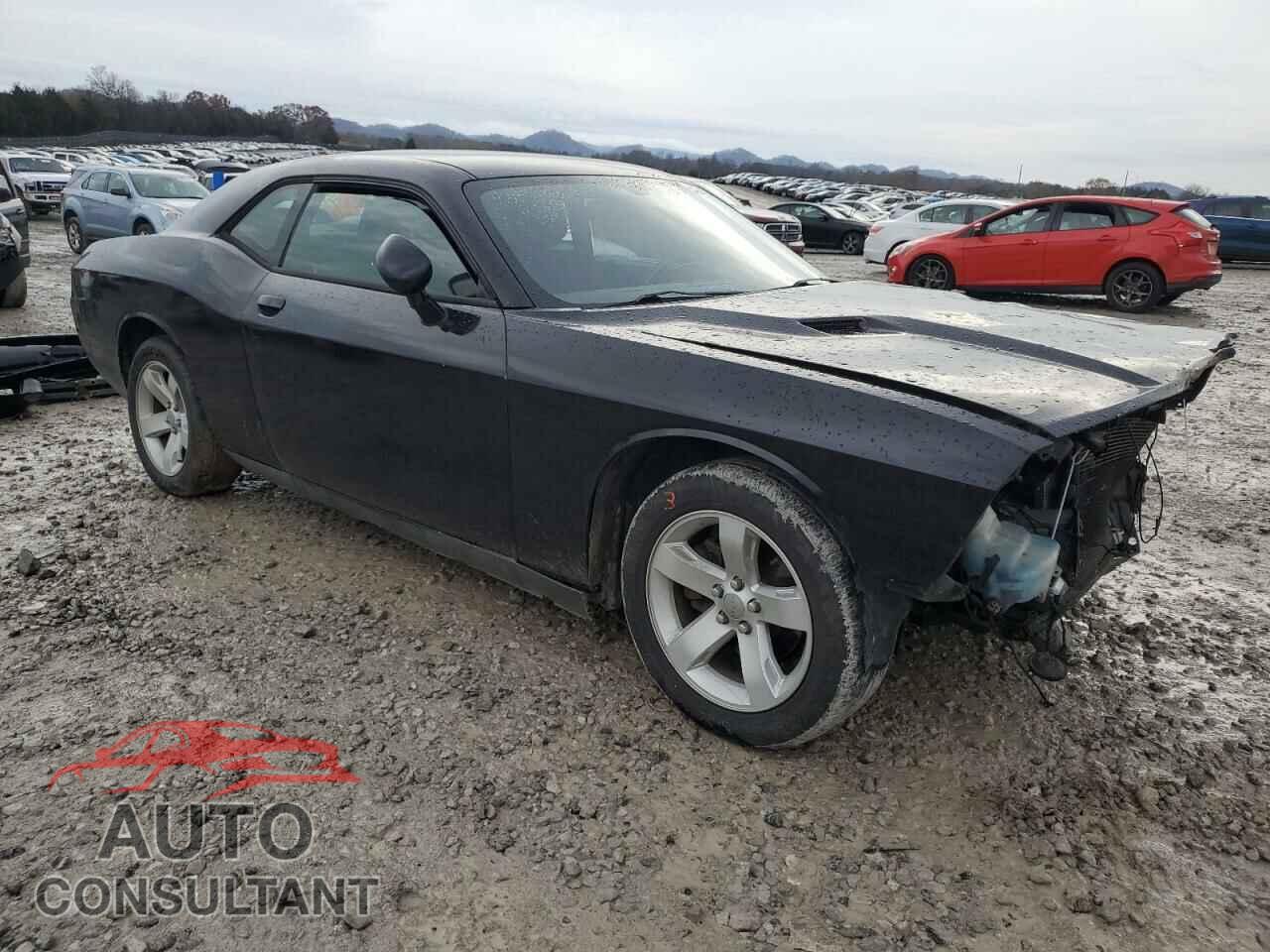 DODGE CHALLENGER 2013 - 2C3CDYAG4DH561917