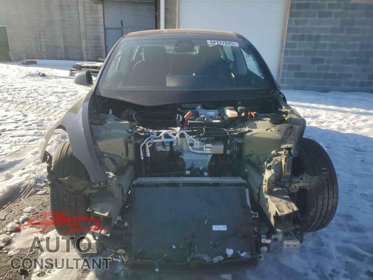 TESLA MODEL 3 2019 - 5YJ3E1EA9KF301697