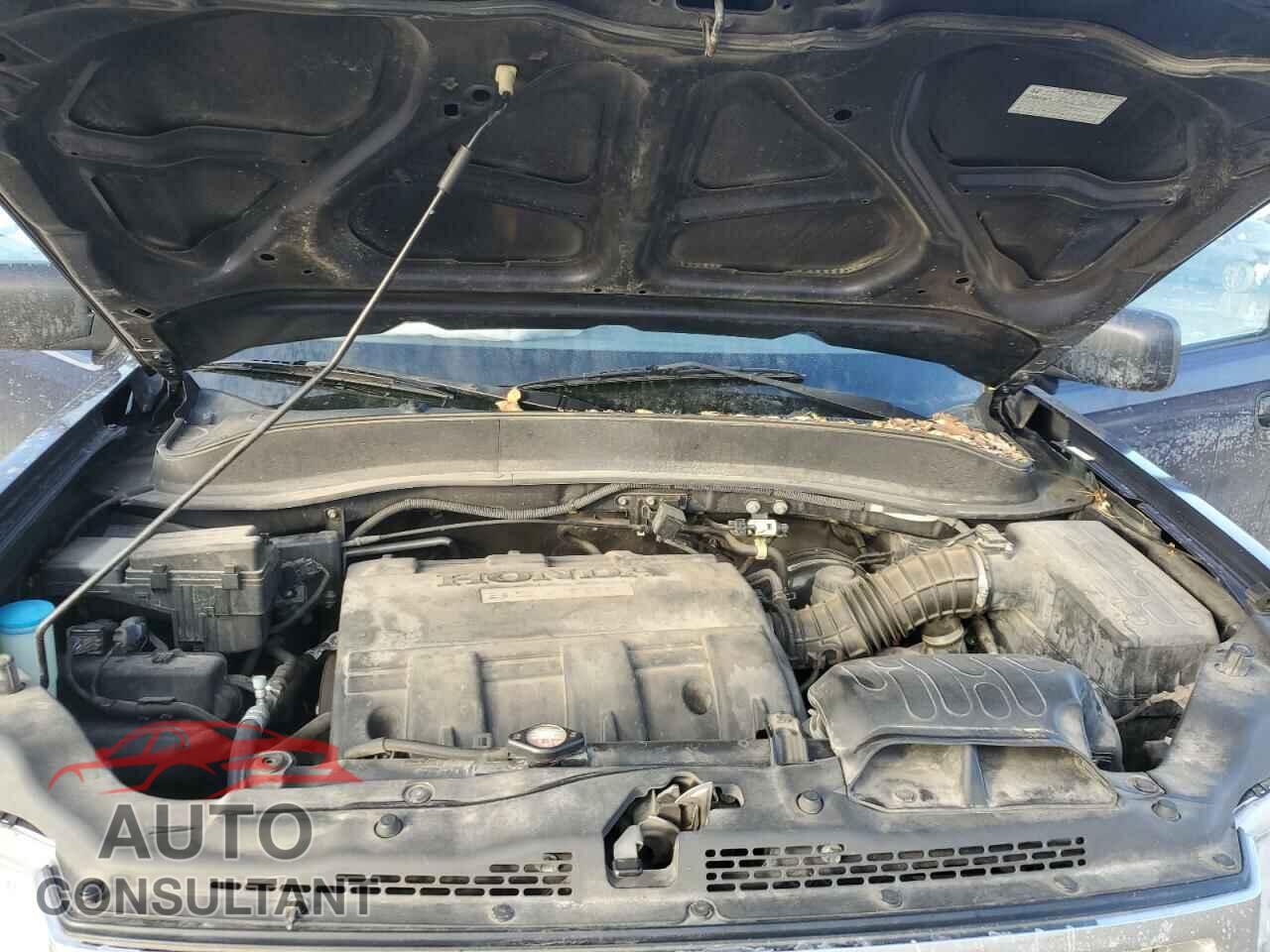 HONDA RIDGELINE 2013 - 5FPYK1F20DB017746