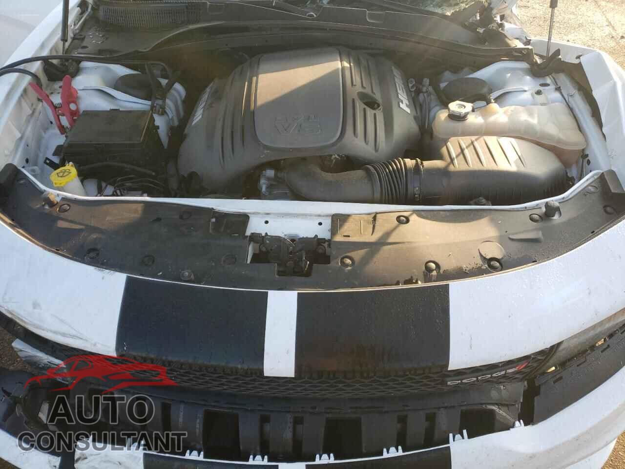 DODGE CHARGER 2019 - 2C3CDXCT2KH571850