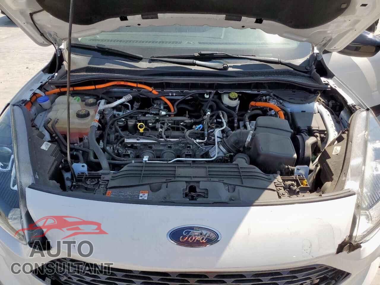FORD ESCAPE 2020 - 1FMCU0BZ7LUA80578