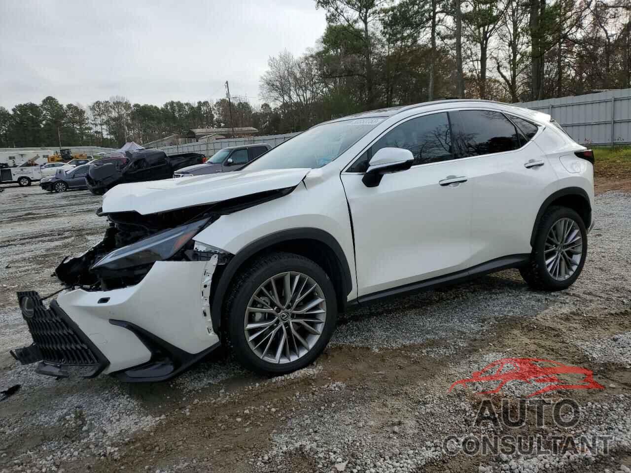 LEXUS NX 350 2022 - JTJHGCEZ9N2005939