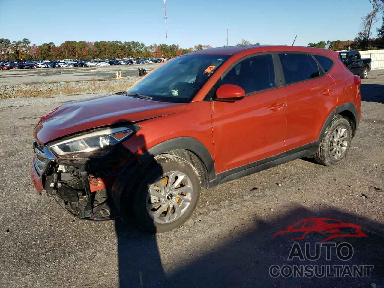 HYUNDAI TUCSON 2017 - KM8J23A43HU442871