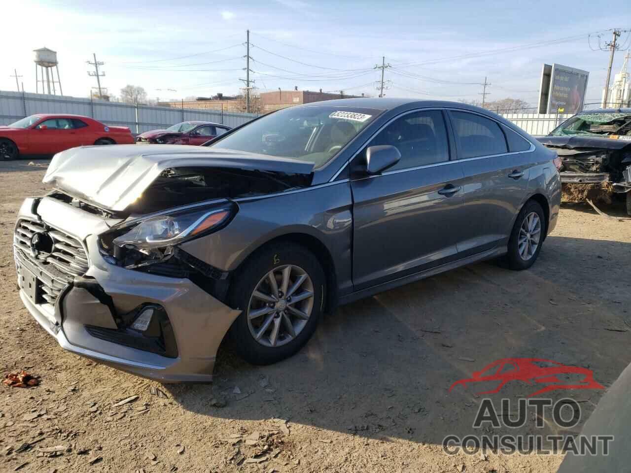HYUNDAI SONATA 2019 - 5NPE24AF8KH781849
