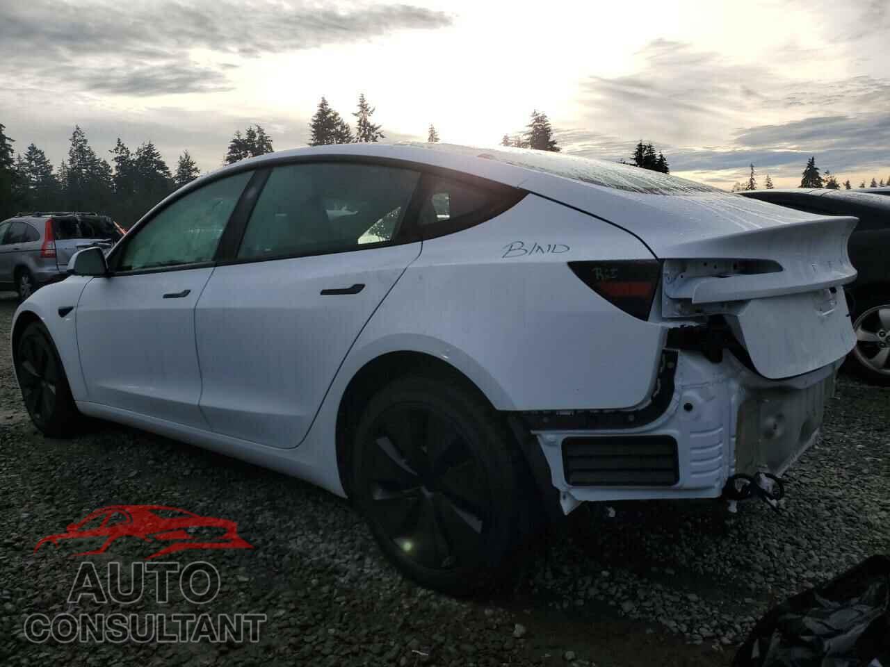 TESLA MODEL 3 2024 - 5YJ3E1EB1RF770544