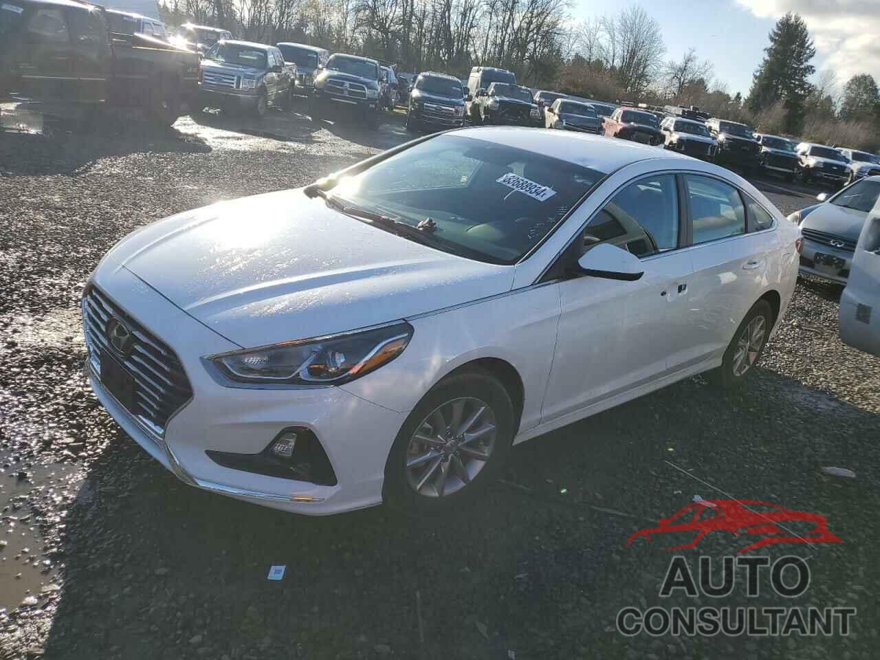 HYUNDAI SONATA 2019 - 5NPE24AF0KH755228