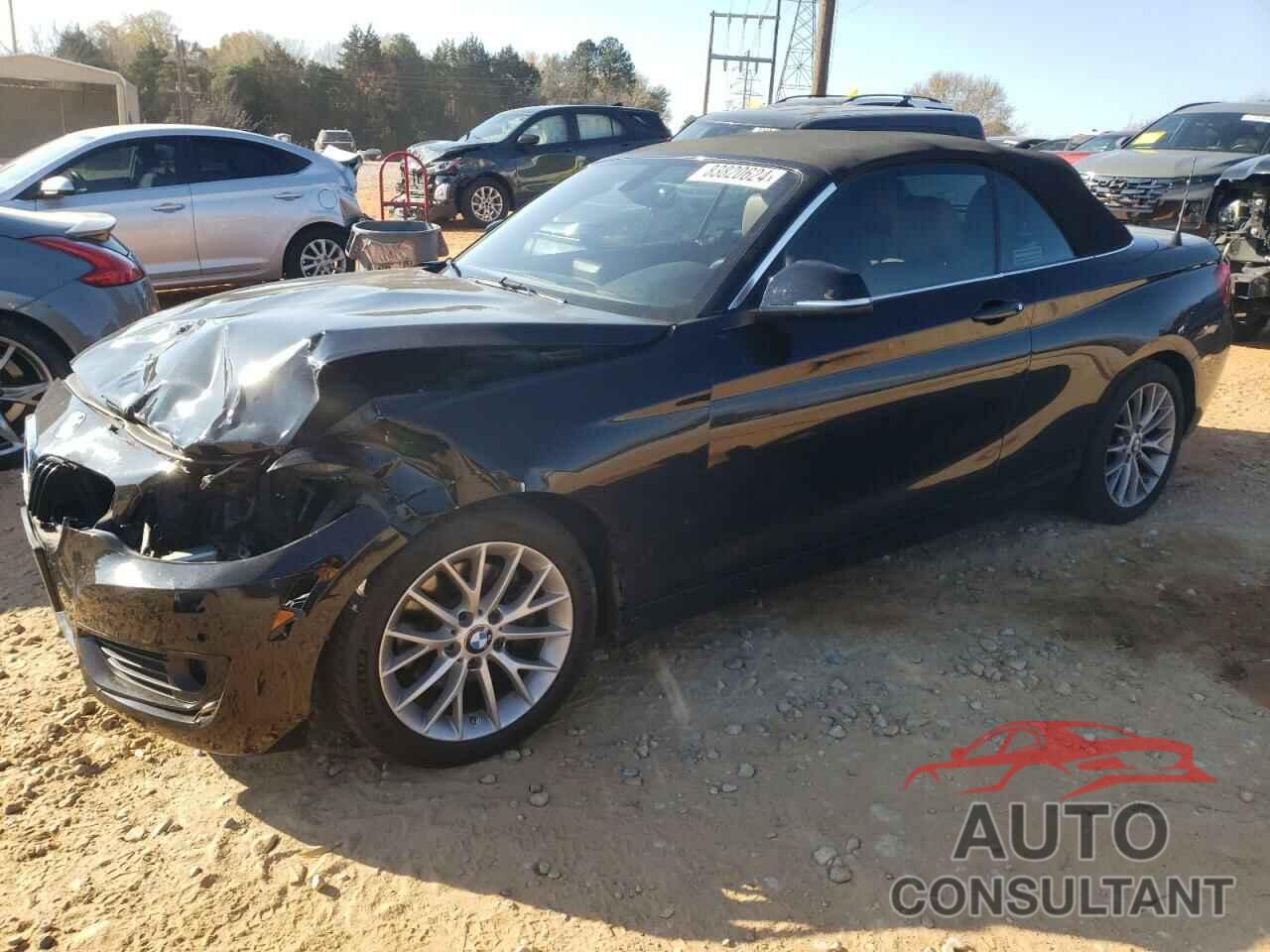 BMW 2 SERIES 2015 - WBA1K7C58FV472566