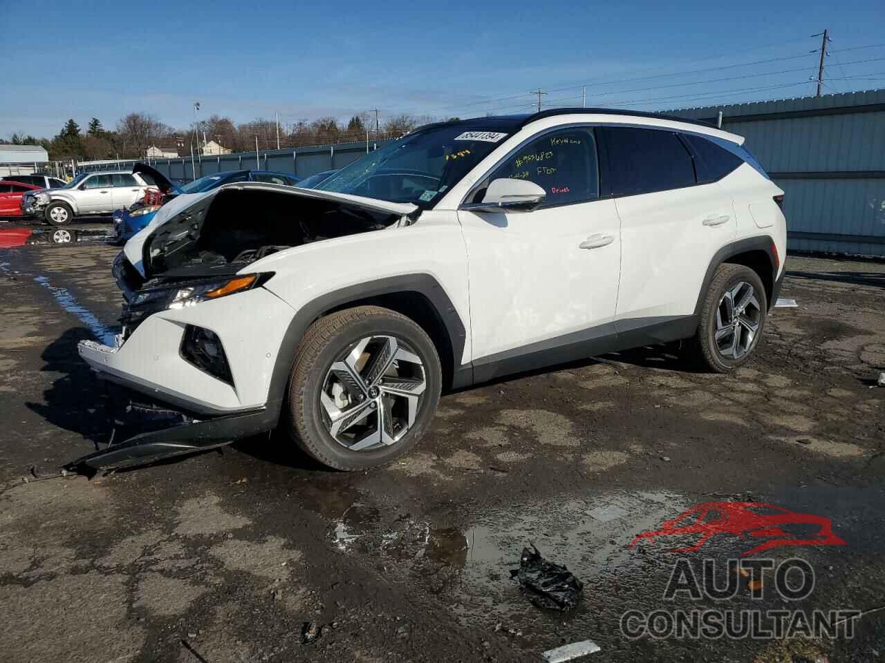 HYUNDAI TUCSON 2023 - 5NMJECAEXPH216904