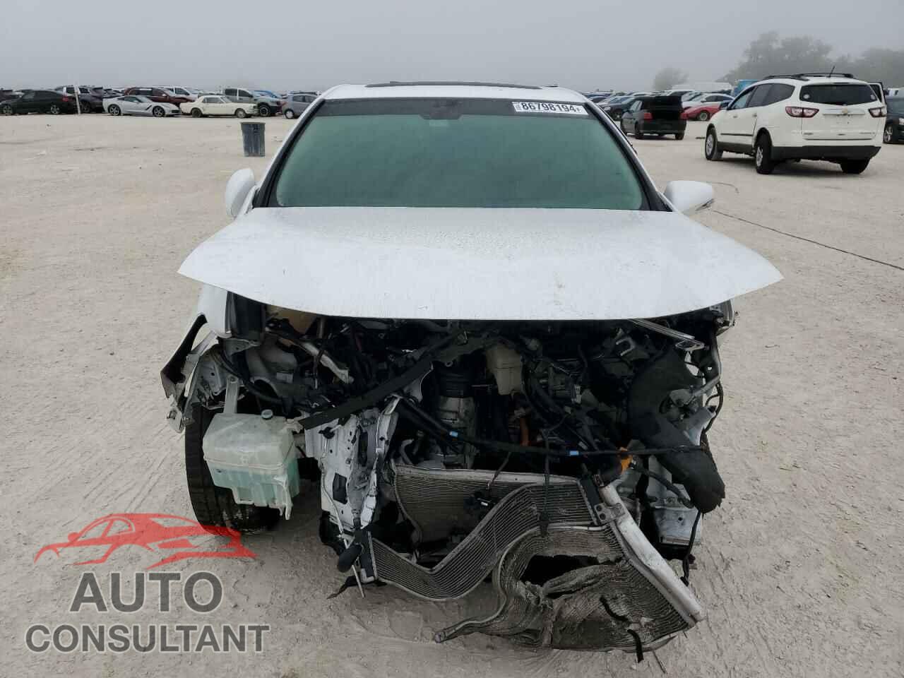 LEXUS HS 2010 - JTHBB1BA8A2020371