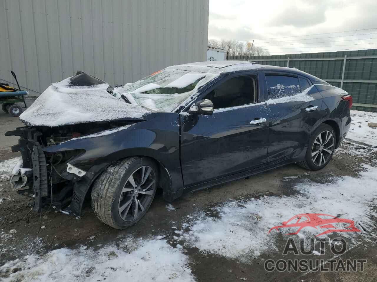 NISSAN MAXIMA 2017 - 1N4AA6AP6HC432205