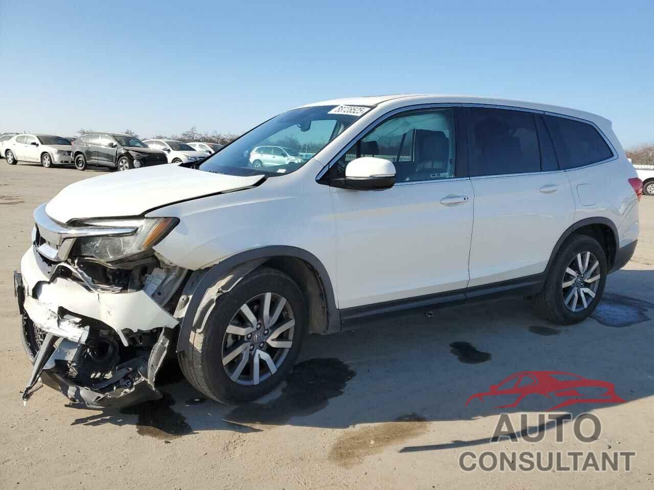 HONDA PILOT 2019 - 5FNYF5H56KB035354