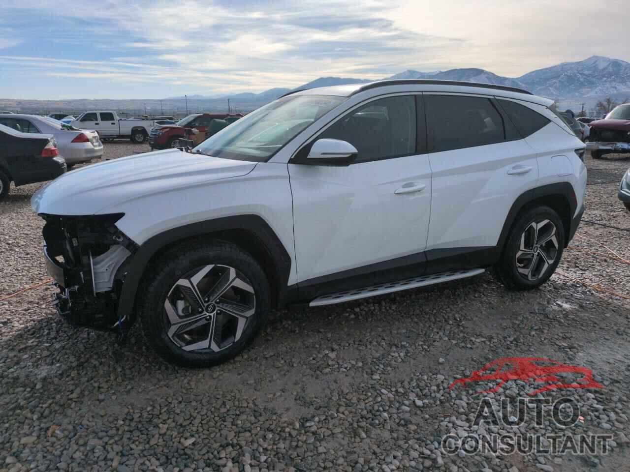 HYUNDAI TUCSON 2022 - 5NMJCCAE2NH113589