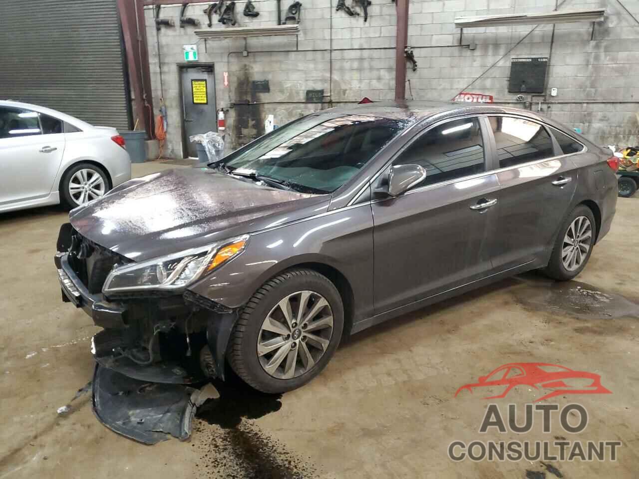 HYUNDAI SONATA 2016 - 5NPE24AF5GH411854