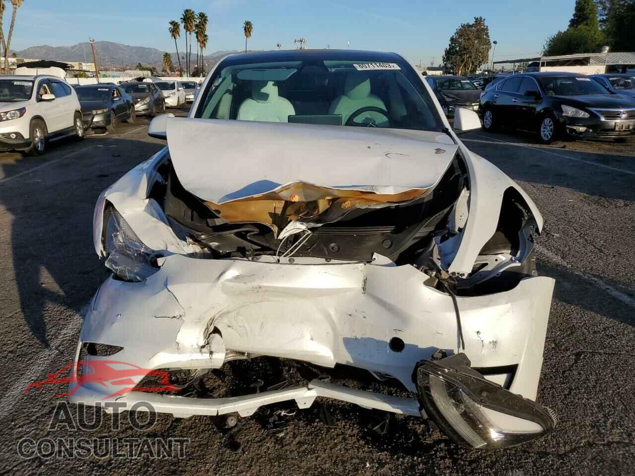 TESLA MODEL Y 2023 - 7SAYGDEE3PF589683