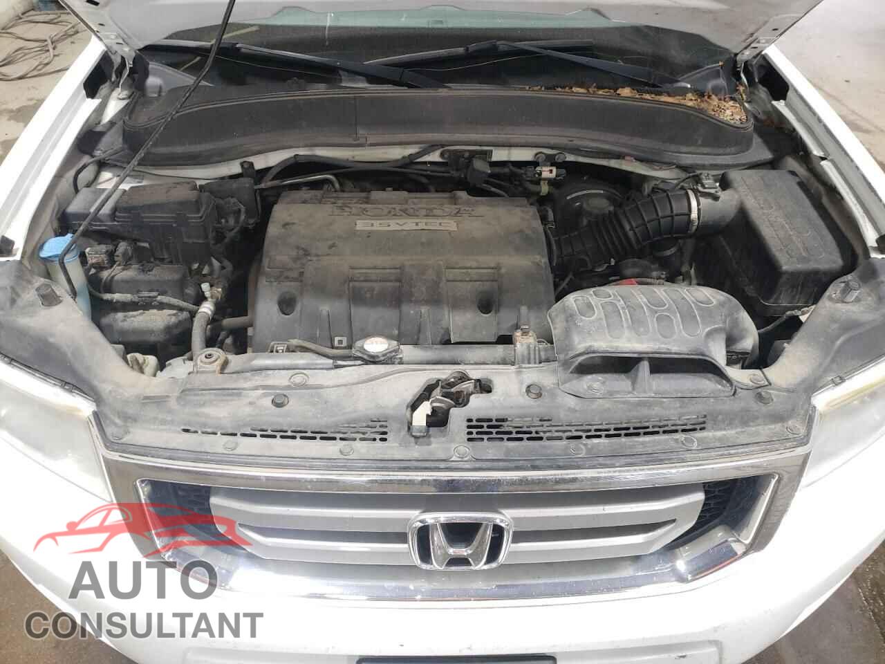HONDA RIDGELINE 2011 - 5FPYK1F46BB002845