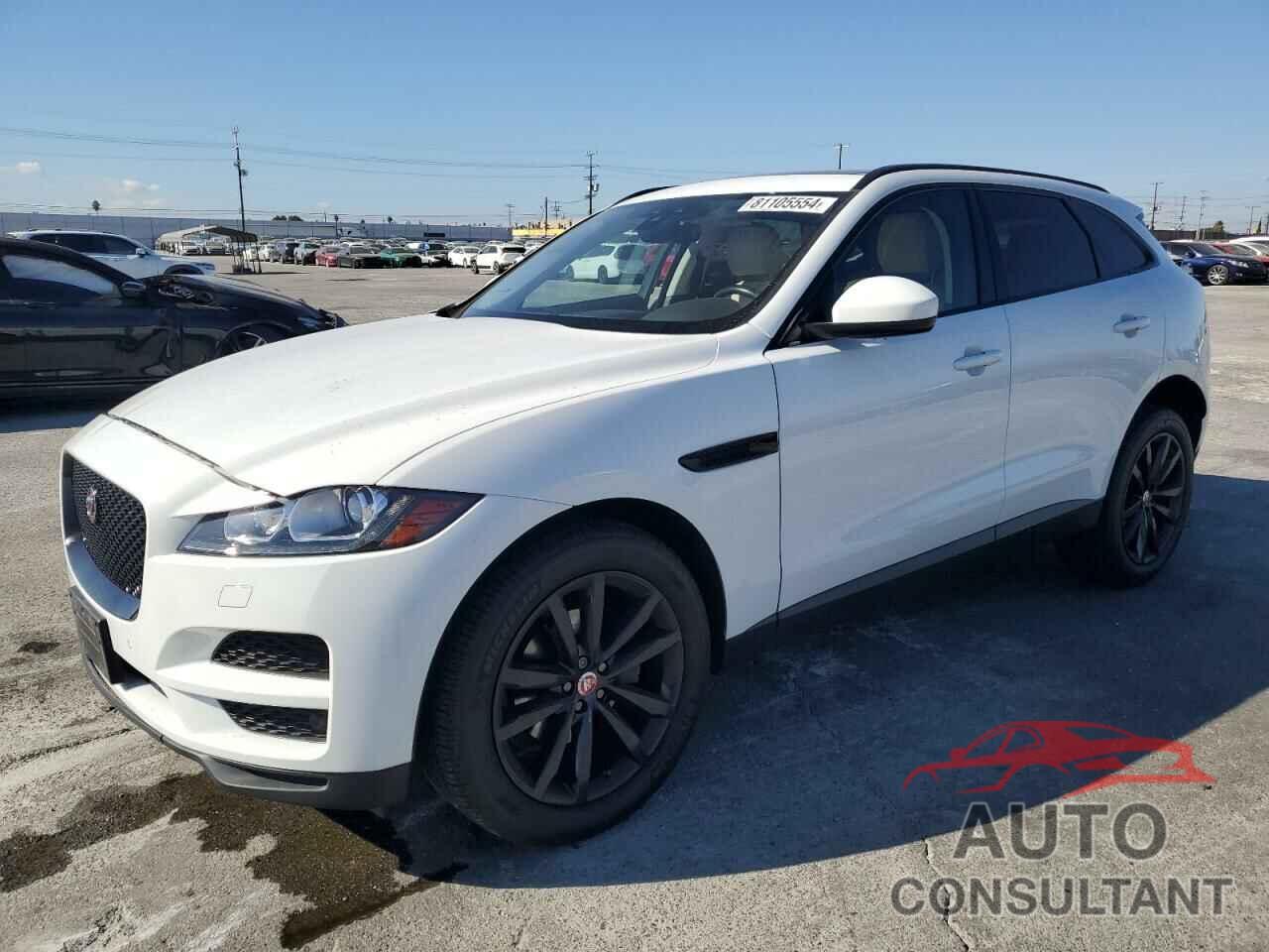 JAGUAR F-PACE 2019 - SADCK2FX4KA369159
