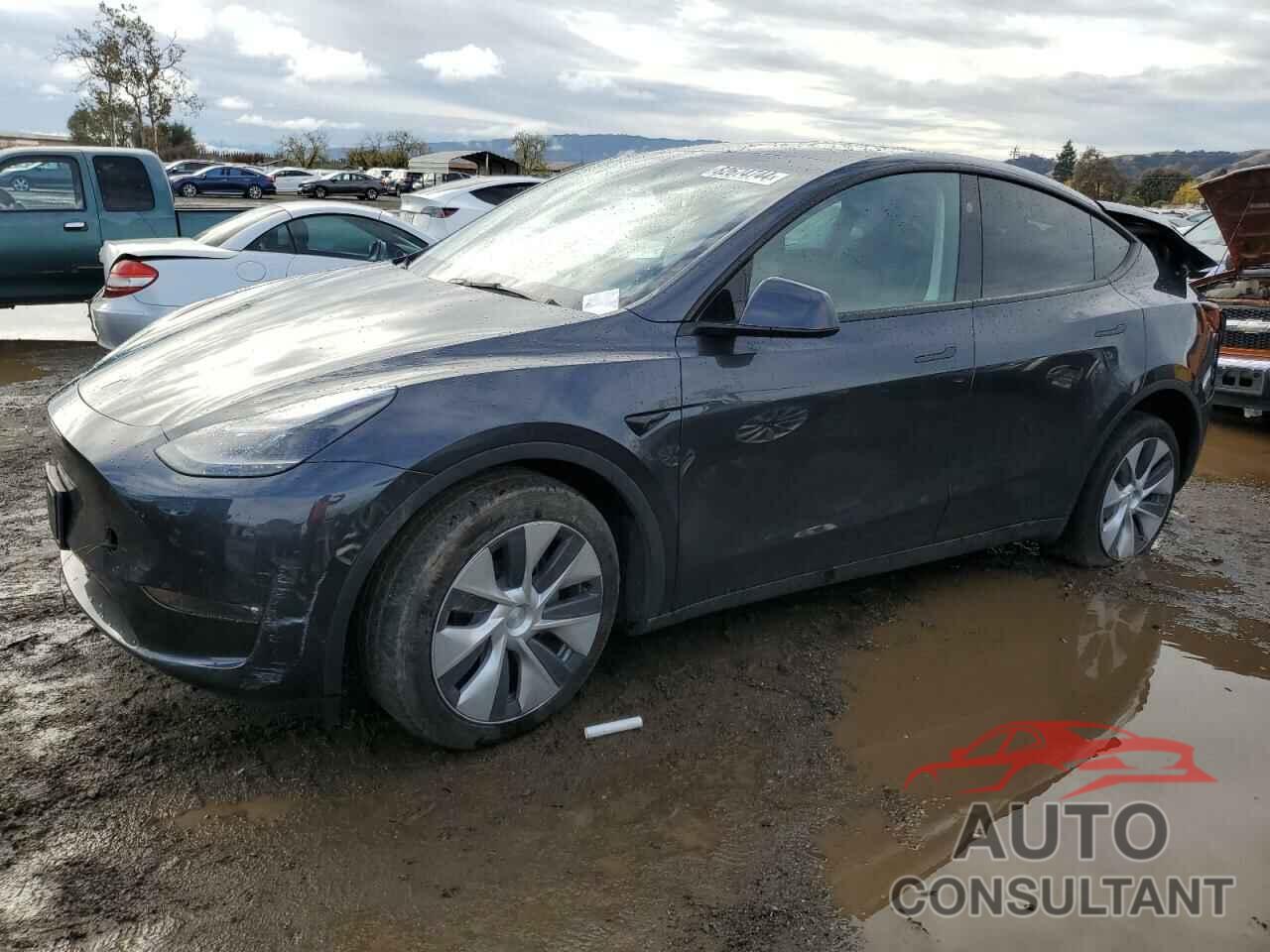 TESLA MODEL Y 2024 - 7SAYGAEE0RF023725