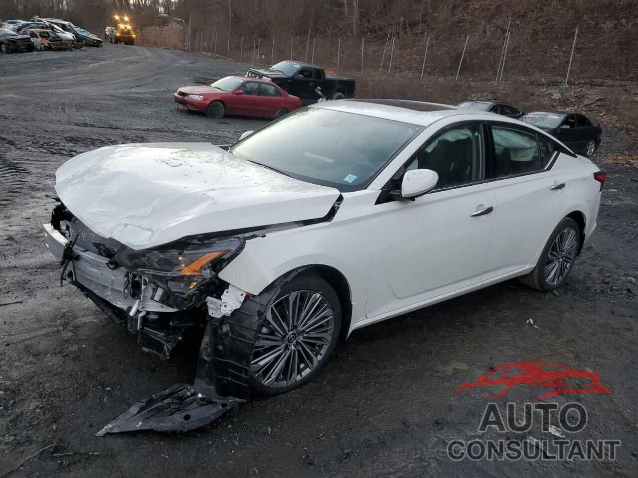 NISSAN ALTIMA 2025 - 1N4BL4EW4SN312418