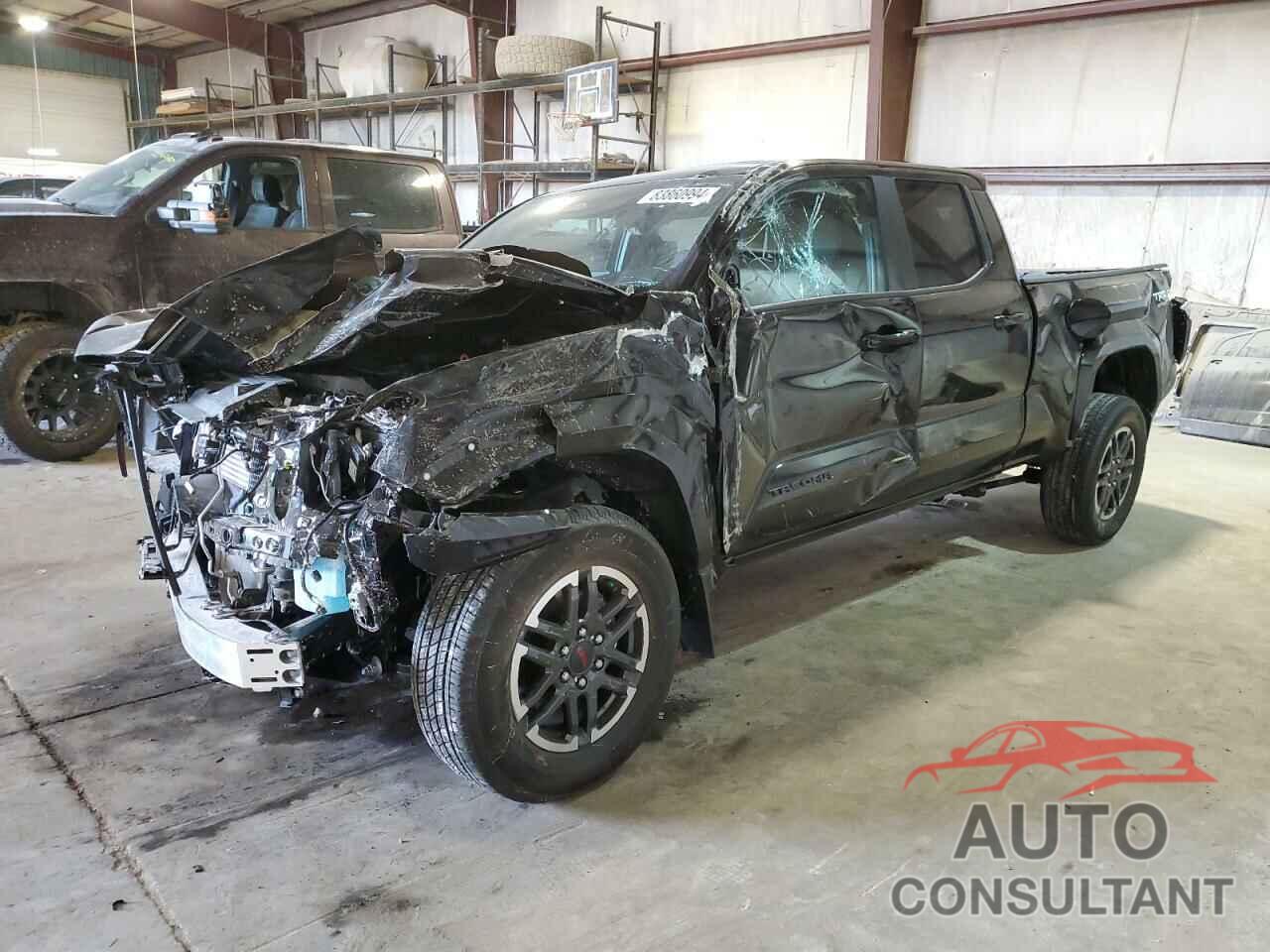 TOYOTA TACOMA 2024 - 3TMLB5JN7RM064044