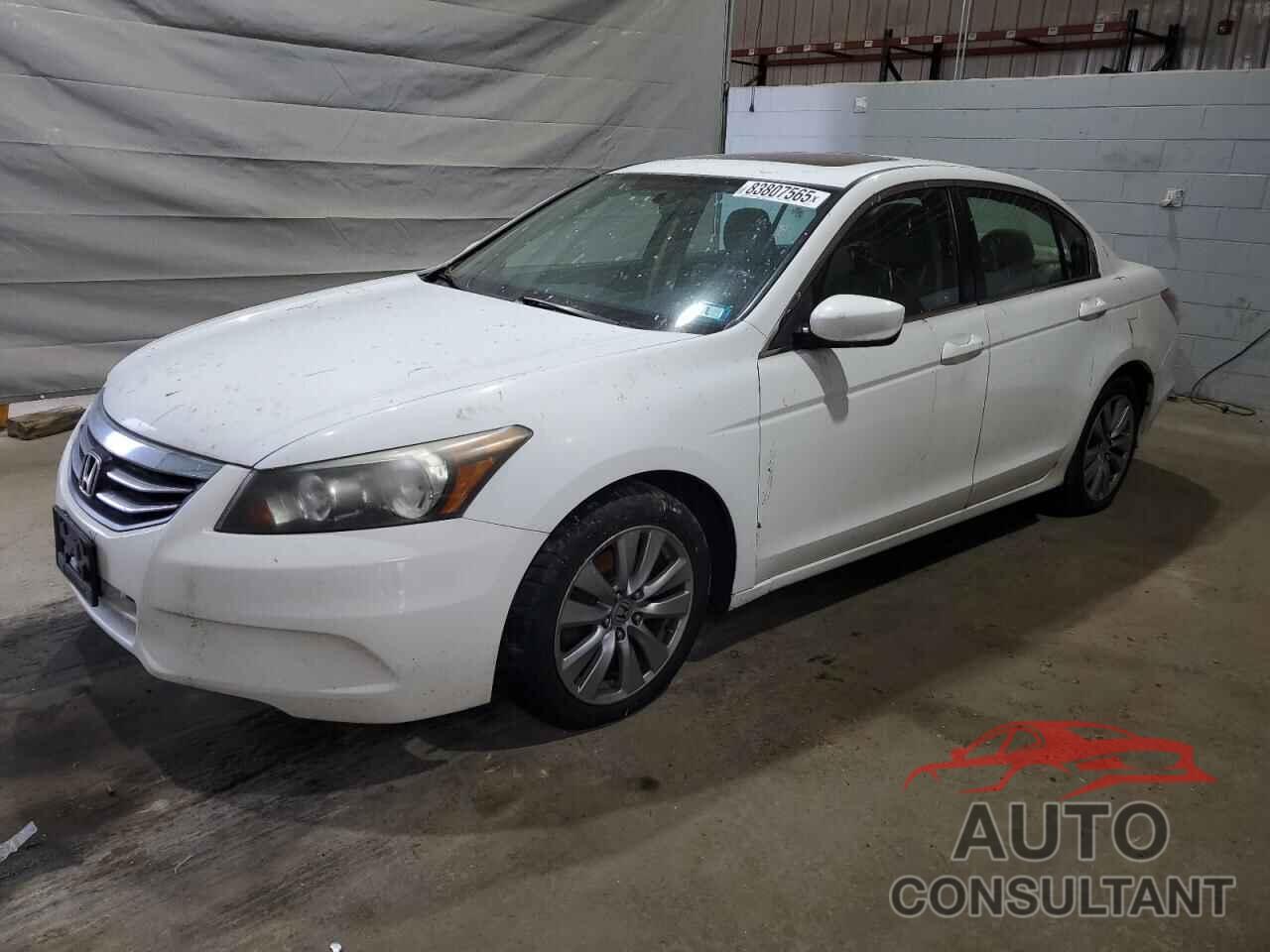 HONDA ACCORD 2011 - 1HGCP2F74BA104434