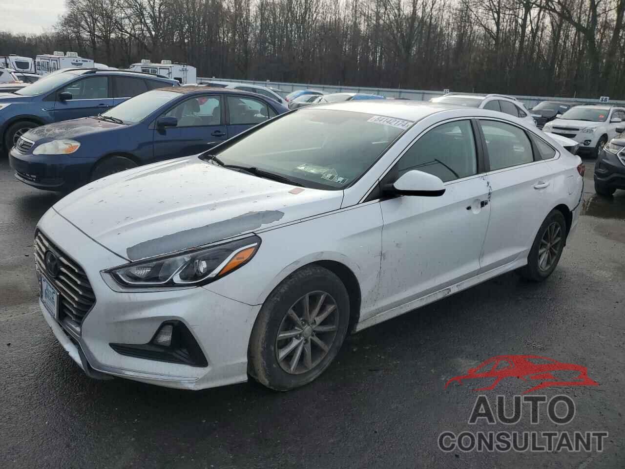 HYUNDAI SONATA 2018 - 5NPE24AF4JH659035