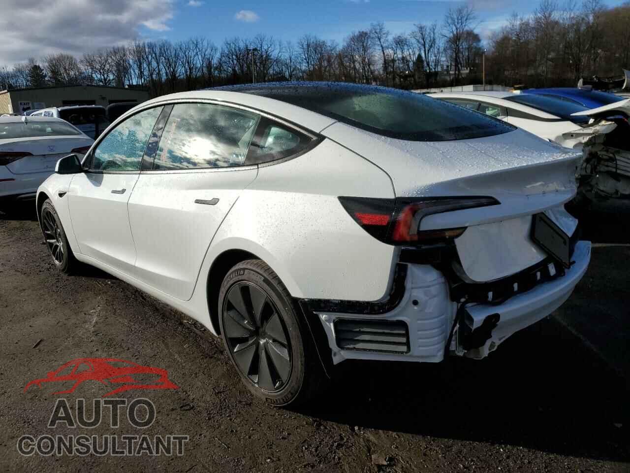 TESLA MODEL 3 2024 - 5YJ3E1EA1RF830801