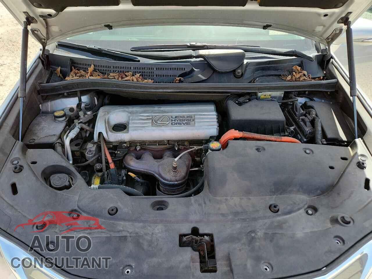 LEXUS HS 2010 - JTHBB1BA8A2005689