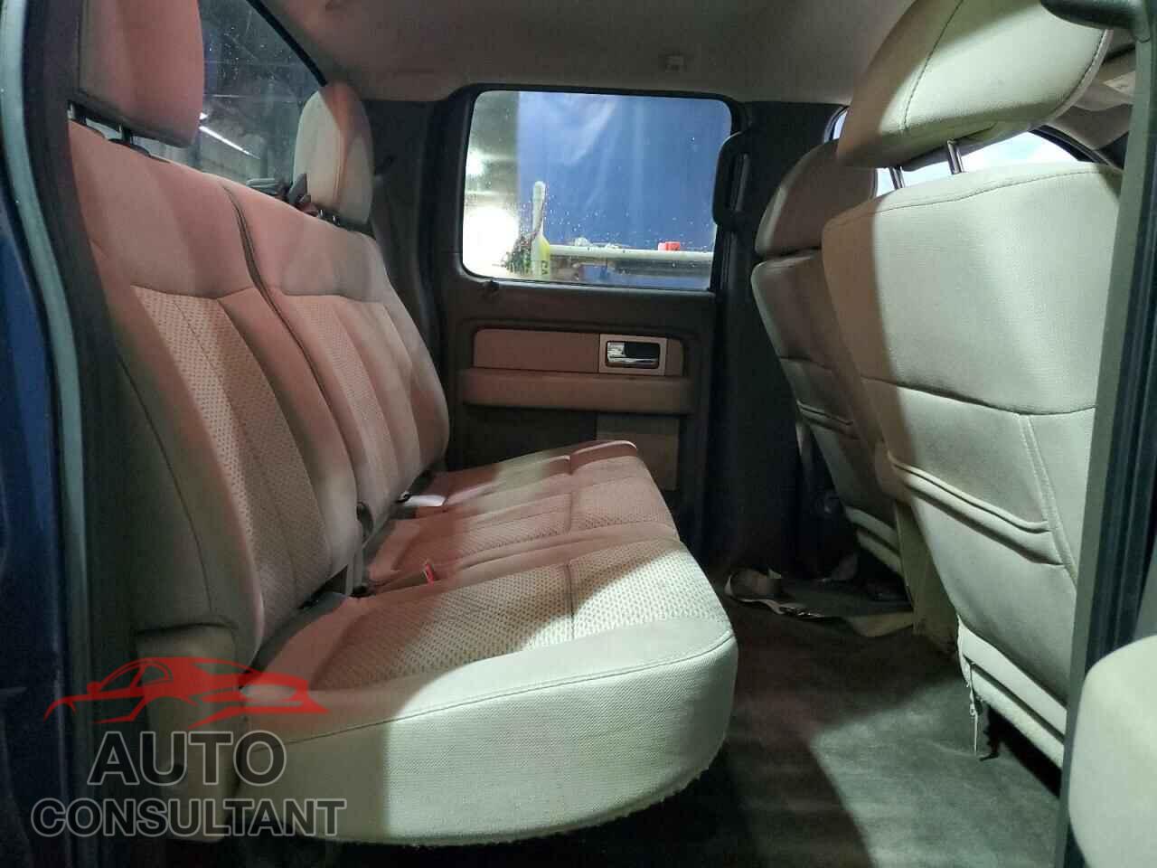 FORD F150 2010 - 1FTEW1E86AFC19018
