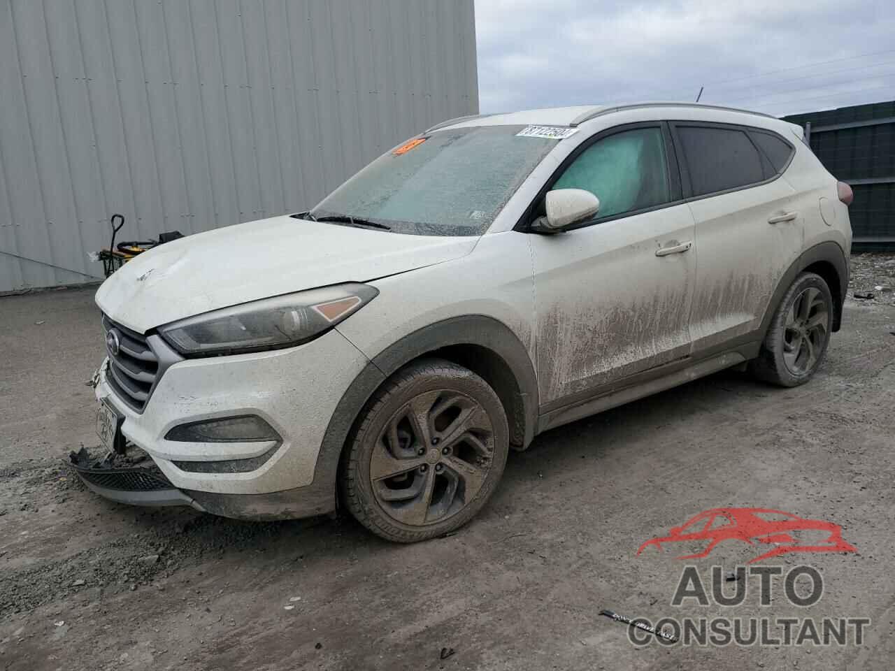 HYUNDAI TUCSON 2017 - KM8J3CA21HU503100