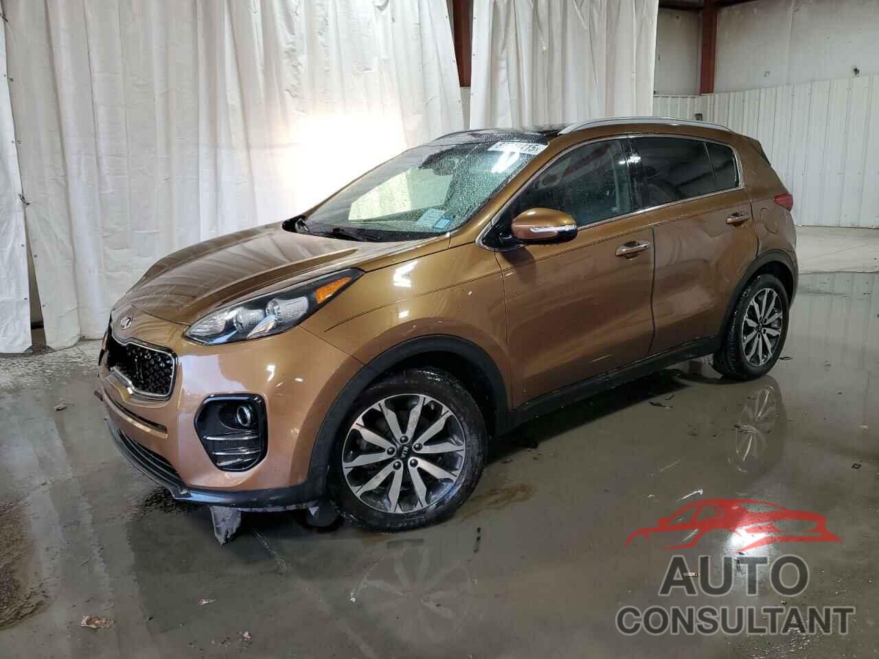 KIA SPORTAGE 2017 - KNDPN3AC0H7091459
