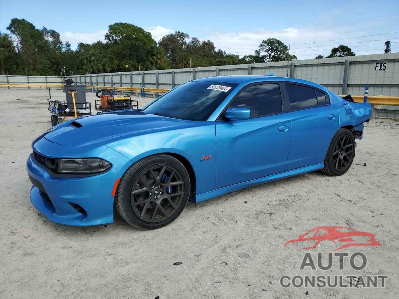 DODGE CHARGER 2019 - 2C3CDXGJ1KH742547