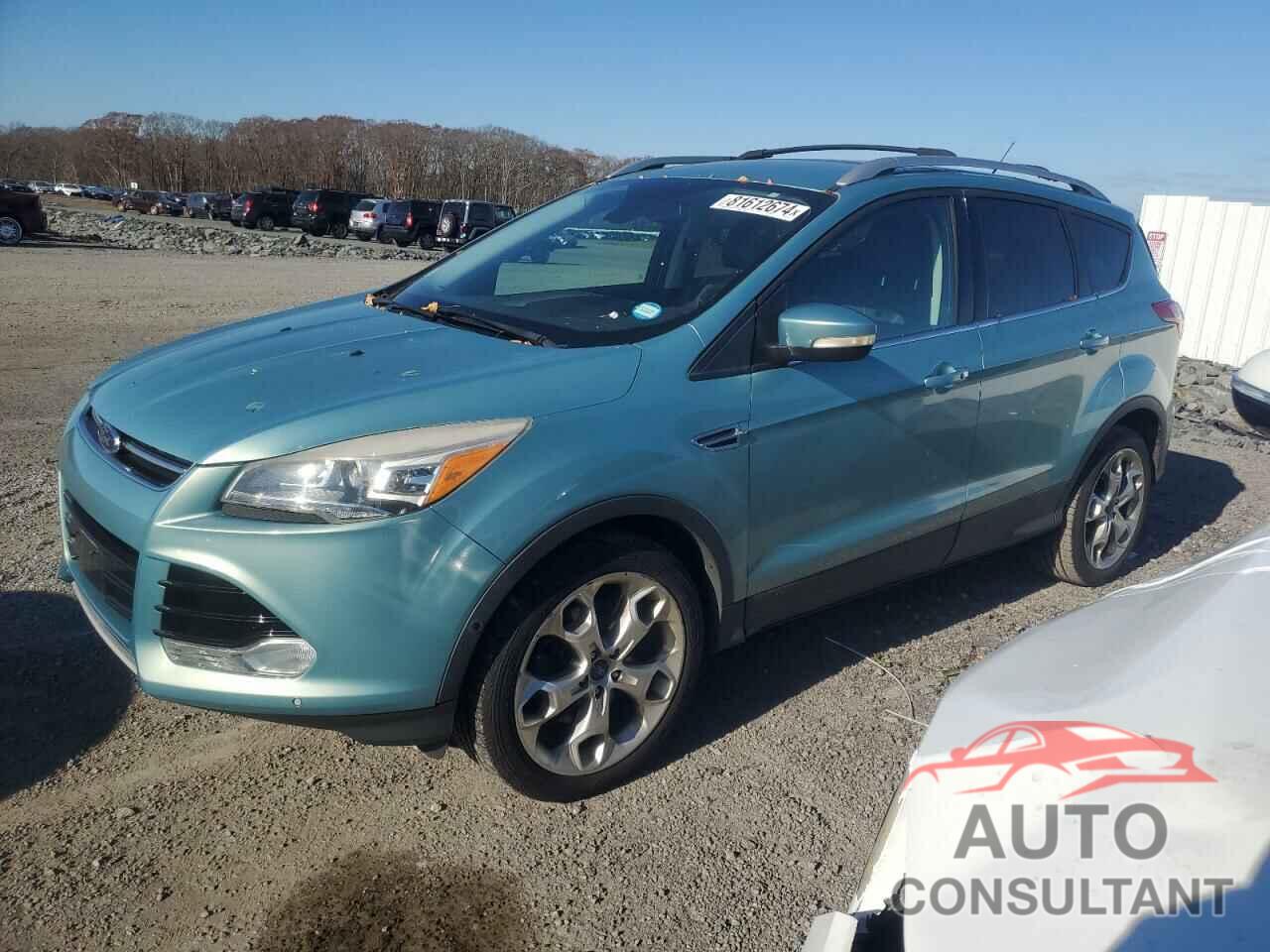 FORD ESCAPE 2013 - 1FMCU9J99DUD30166